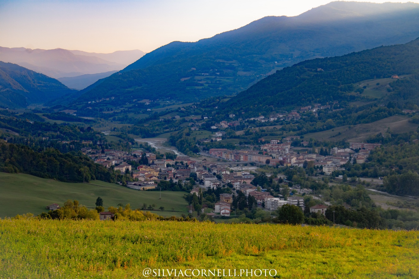 Bettola