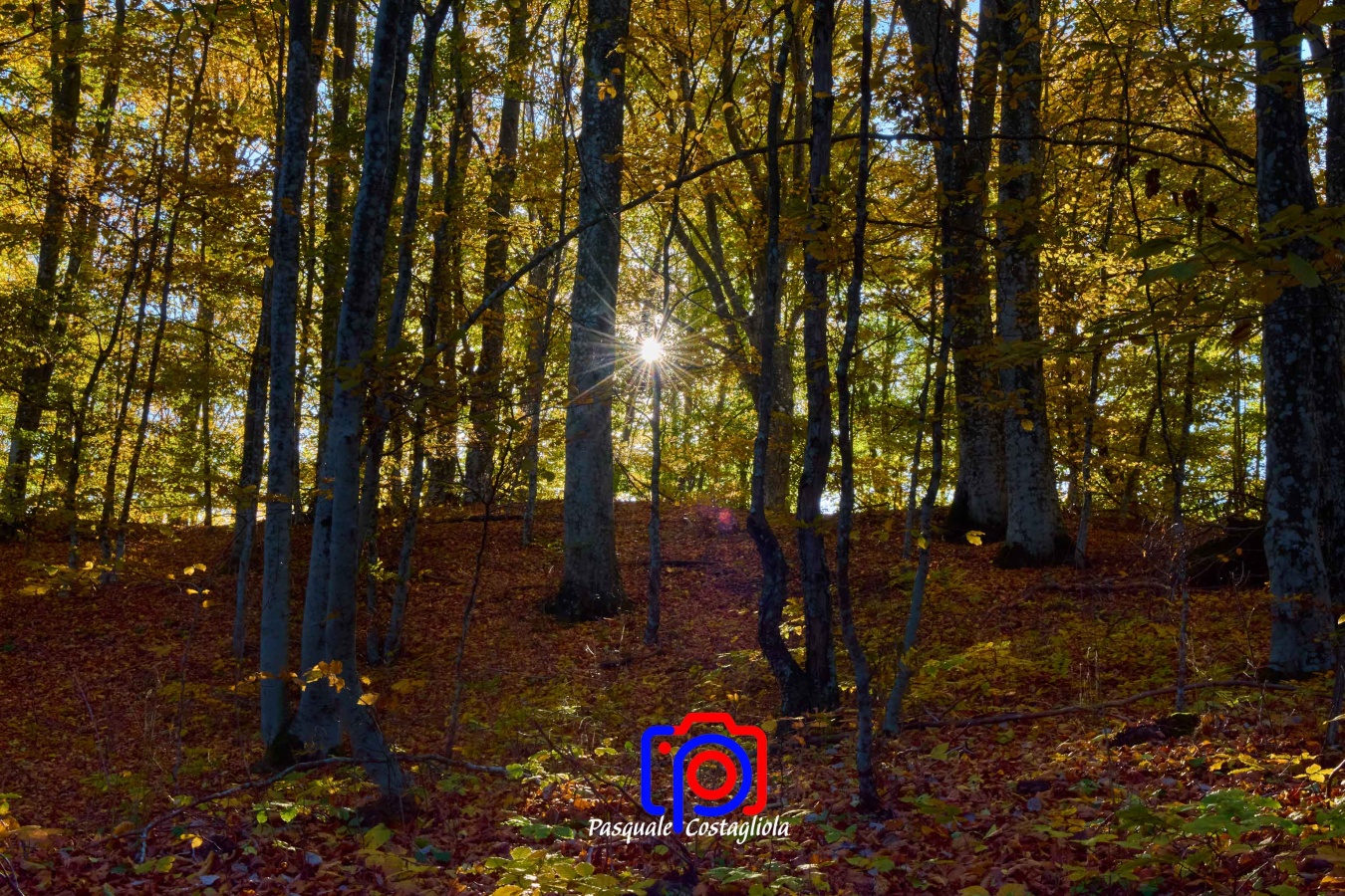 La magia del mattino