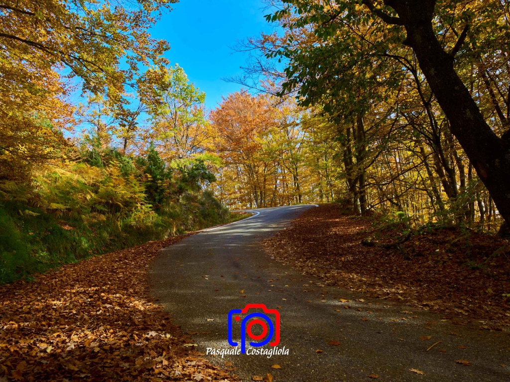 Sentiero d&#039;autunno