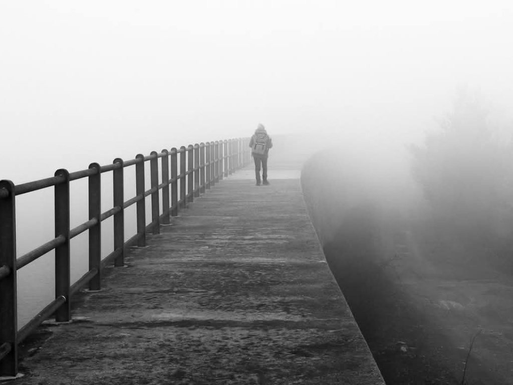 Nella nebbia 