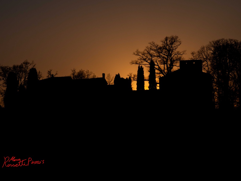 _dsc0526