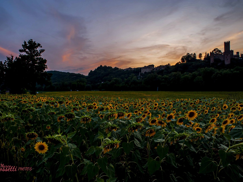 castell'arquato