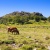 Gallerie Fotografiche &raquo; Fauna
