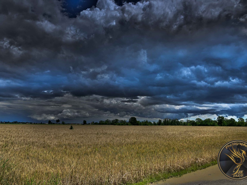 _dsc0386
